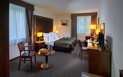 Hotel Selský Dvůr Praha - Executive Deluxe pokoj s přistýlkou