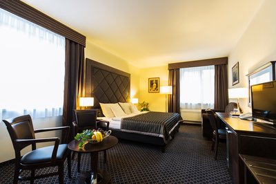 Hotel Selský Dvůr - hotel room