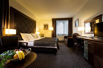 Hotel Selský Dvůr - hotel room