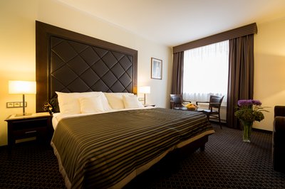 Hotel Selský Dvůr - hotel room 