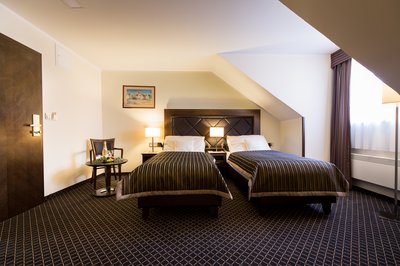 Hotel Selský Dvůr - hotelový pokoj