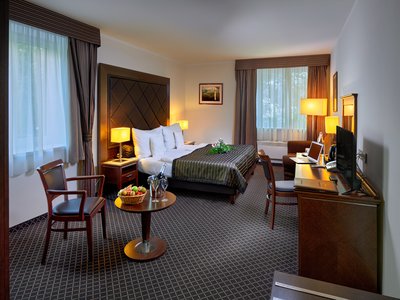 Hotel Selsky Dvur Prag - Executive Deluxe Doppelzimmer mit Zustellbett